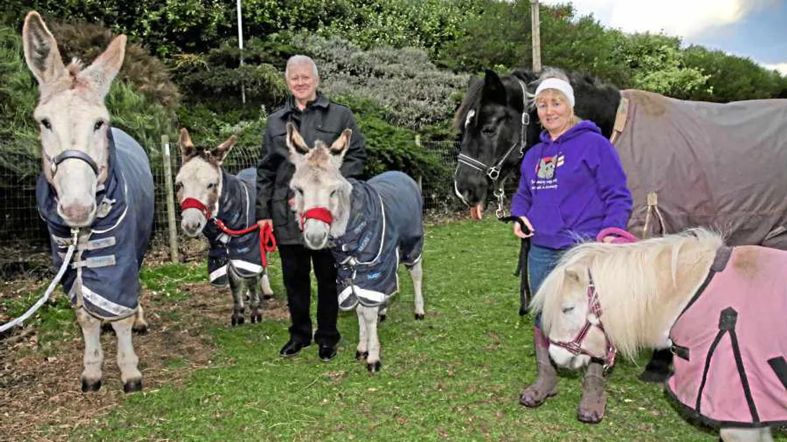 Campaigner calls for soundless fireworks