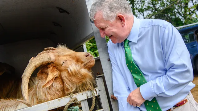 Golden Guernsey goat is breed apart, says Lt-Governor