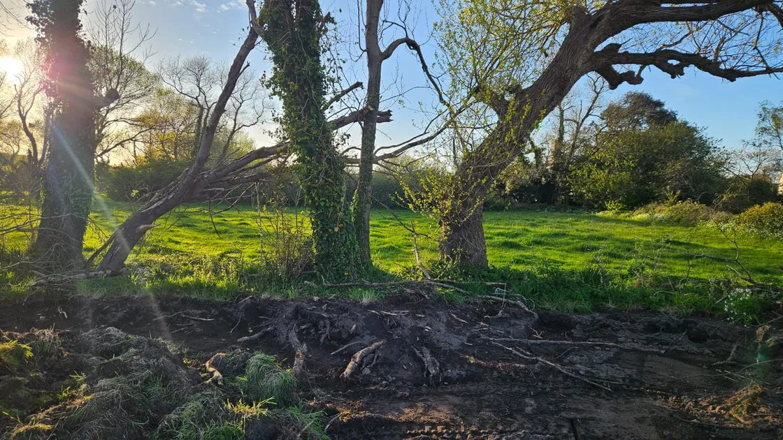 DPA president Neil Inder said at the time of the serving of the order that the actions were ‘disappointing, if not cynical’, and warned that he would look to increase tree protection in the future.