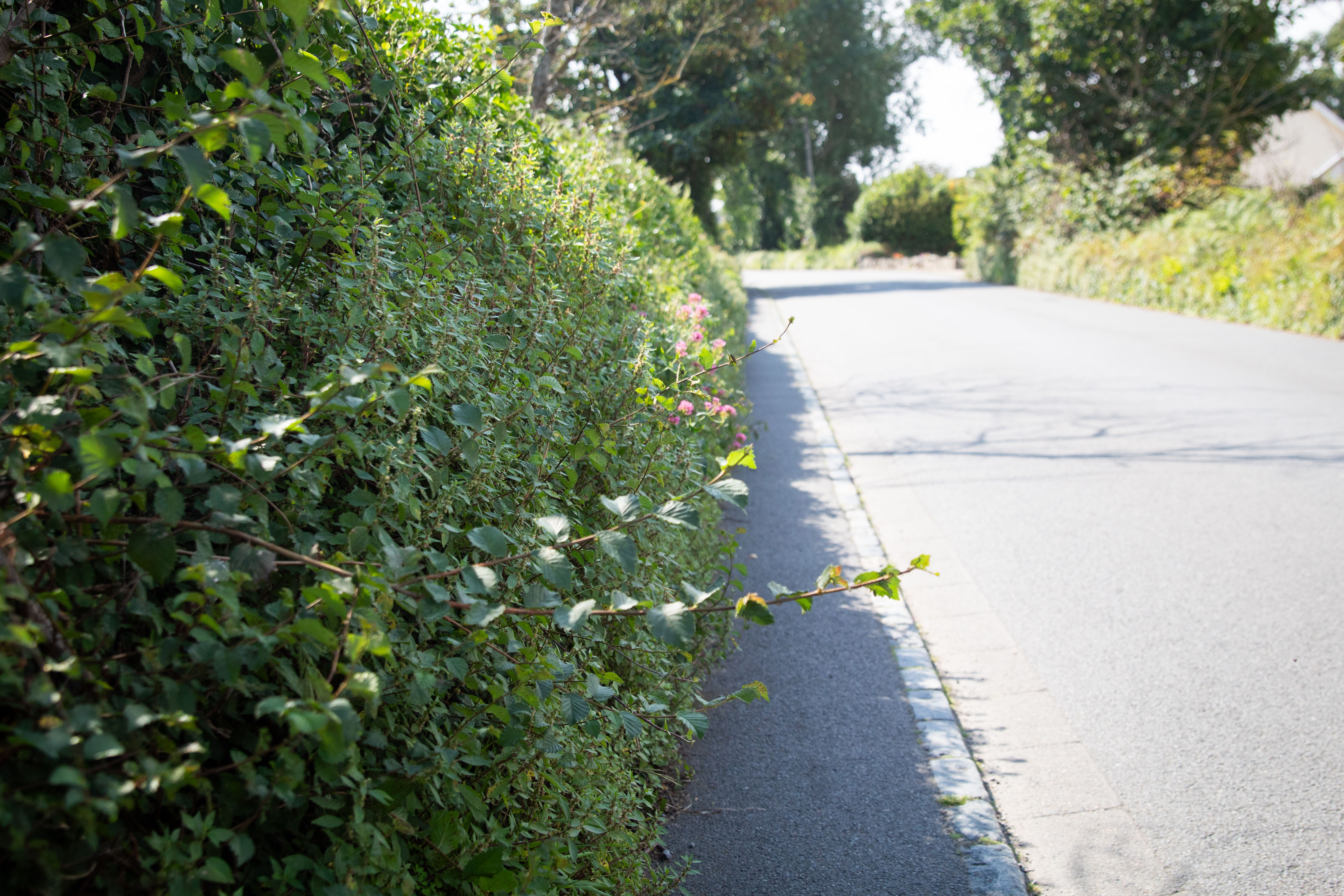 Vale parish prepared to step in if E&I fails to maintain roadsides