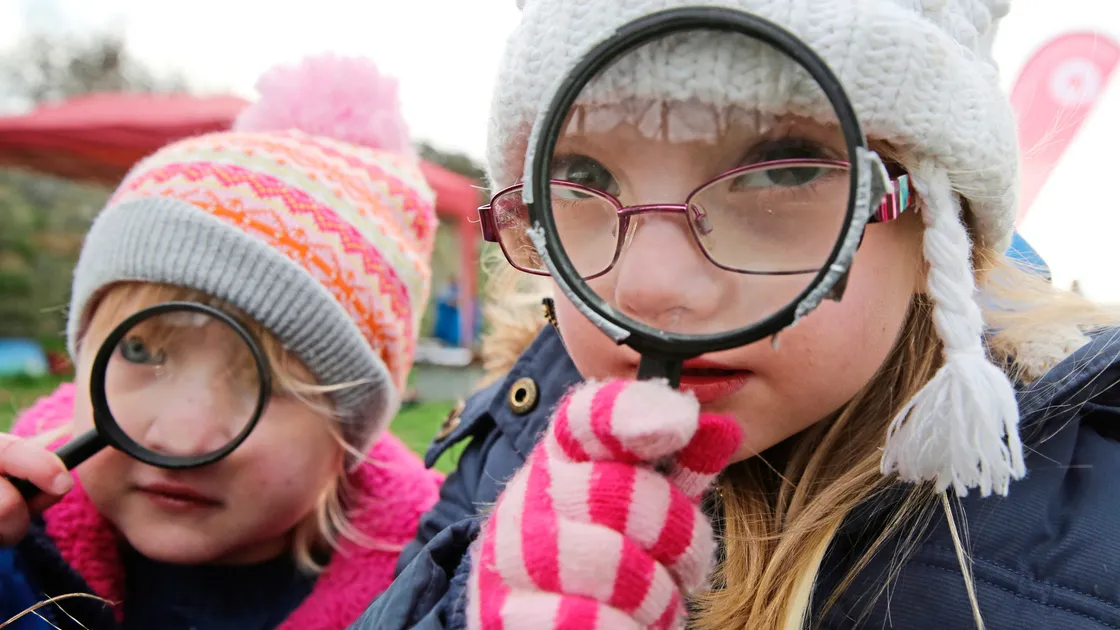 Islanders go in search of bugs at Ivy Castle