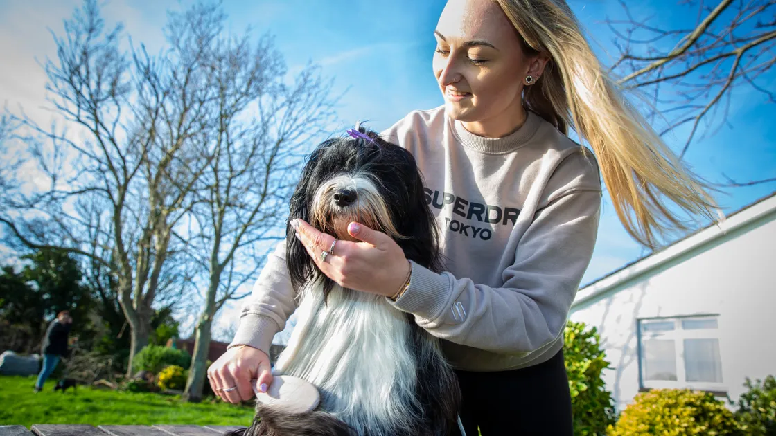 Guernsey Kennel Club President Paige Le Moignan with her Tibetan Terrier Mika.			 (Picture by Peter Frankland, 34654286)