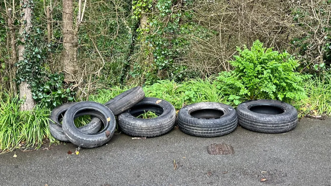 Six car tyres were dumped on Petit Bot Road over the weekend.				 (34671708)