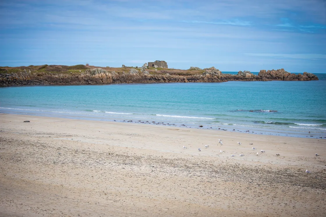 Waxy substance washed up on beach will not be tested