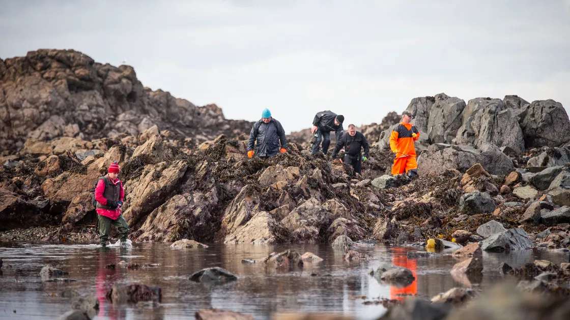 (Picture by Sophie Rabey, 27939897)