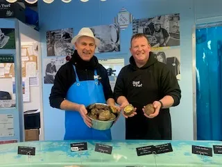 Ormer numbers at highest levels in years