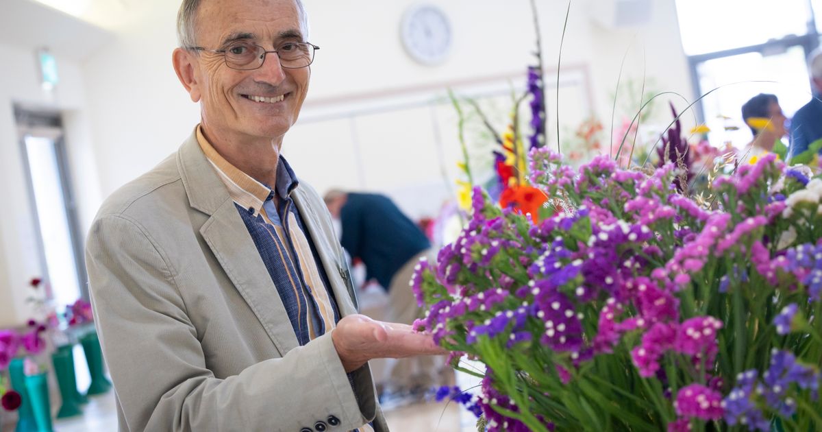 South Show is much more than just judging plants