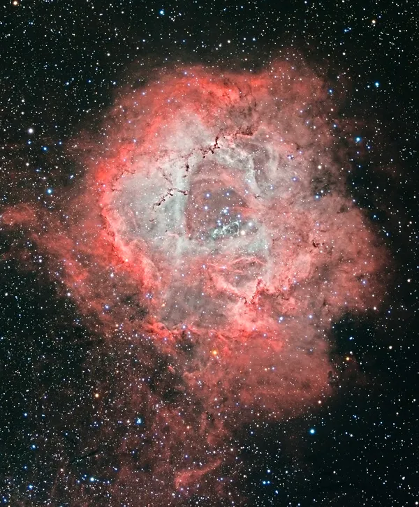 The picture ended up as NASA's picture of the day on their astronomy website. She has dedicated her photo to friend and fellow astrophotographer Trevor Mahy. (24426526)