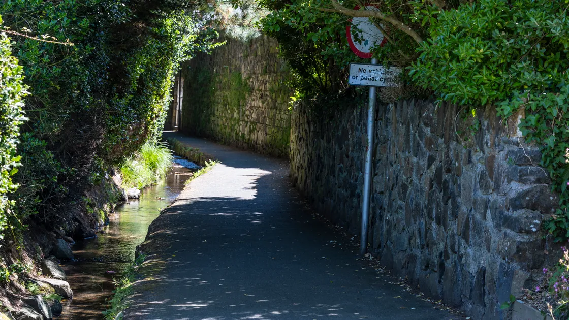 The proposal is to put a metal grid across the stream in the narrowest part of the road to make it safer for bikes.