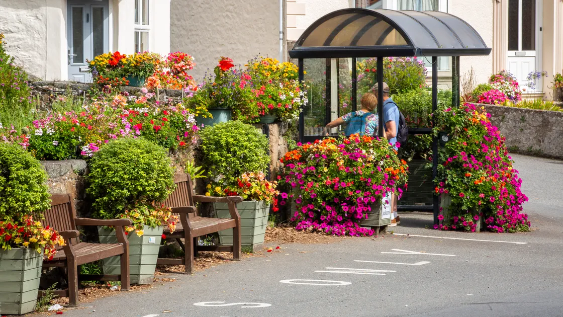 Mrs Allisette said Floral Guernsey was essentially an ‘umbrella’ organisation for the 13 Bailiwick floral groups, with each of them heavily reliant on the central grant Floral Guernsey received in order to plan their activities for the year ahead. (34063132)