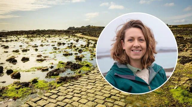 Why prevention matters when it comes to marine biosecurity