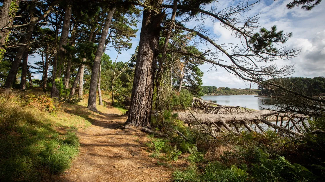 As part of its centenary celebrations, Guernsey Water is planning to develop part of the Millennium Walk to provide an outdoor learning space along with improved accessibility for everyone. (Picture by Peter Frankland, 28743793)