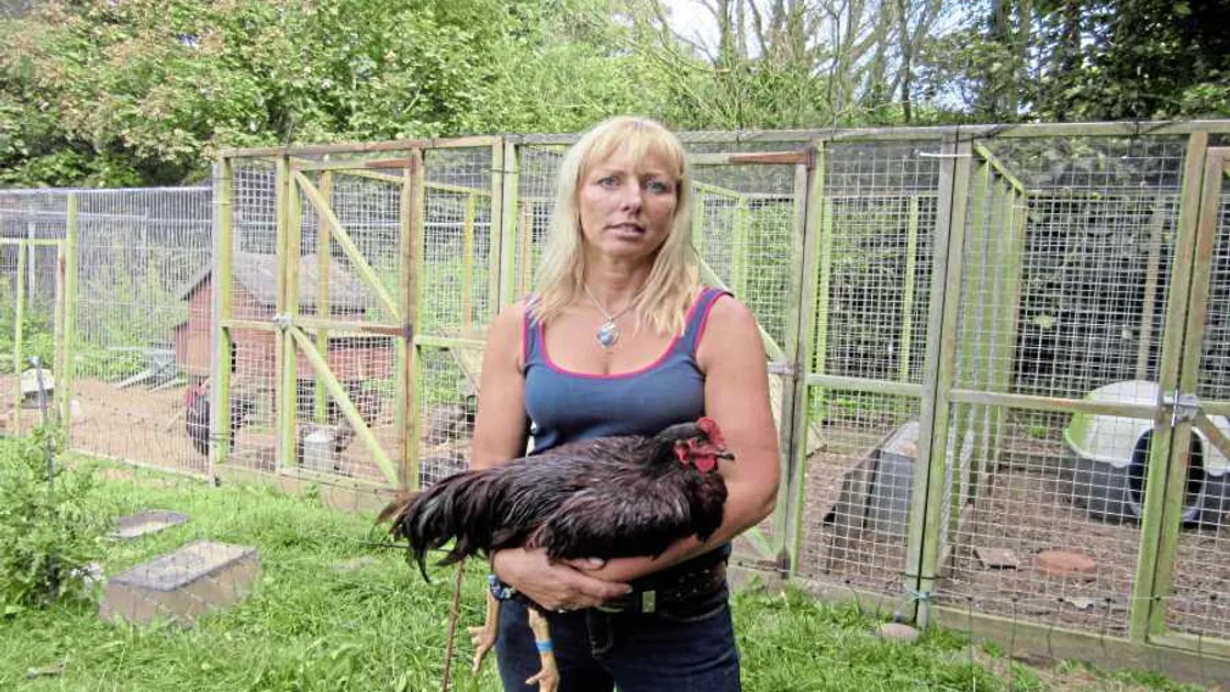 Microchipping of ferrets supported by States vet