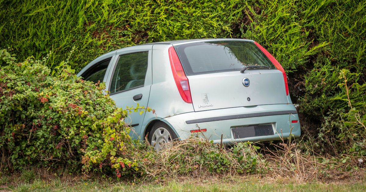 car-in-hedge-causes-delays