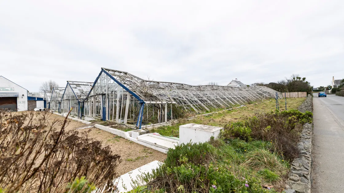 The now derelict Guernsey Freesia Centre is one of eight new sites listed as having the potential for housing in the latest amendments to the Island Development plan. Neighbours spoken to yesterday by the Guernsey Press expressed concerns about the possibility of extra traffic. (Picture by Sophie Rabey, 34008024)