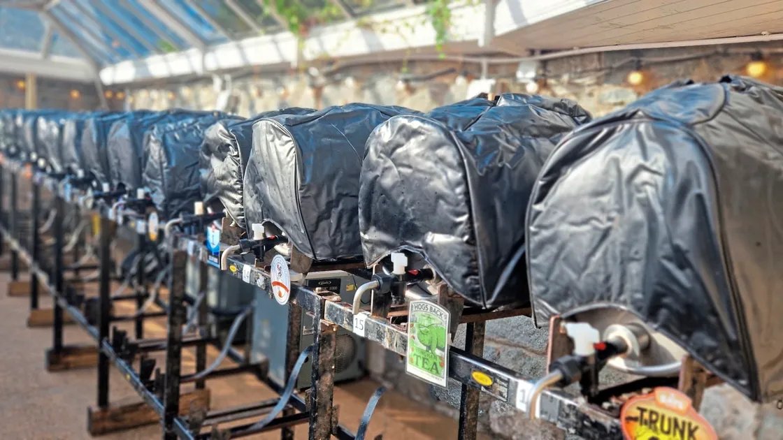 A lack of Cider at the Herm Ale and Cider Festival infuriated some visitors. (33628124)