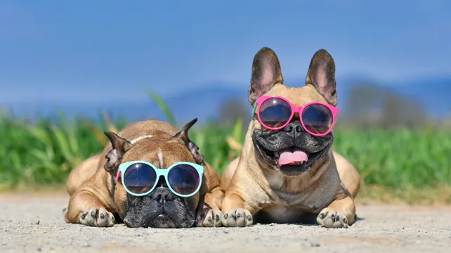 It’s hot, hot, hot