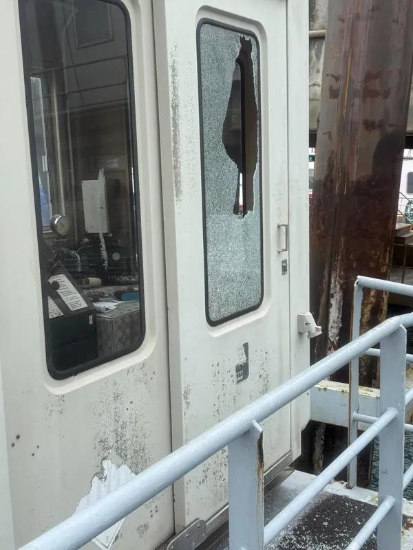Incidents at St Peter Port Harbour included a window being smashed by a sinker weight, fishing tackle caught on vessels, masts and aerials, lures found in rigging, young people climbing ladders at the Fish Quay, and juvenile gulls tangled in discarded line and hooks.