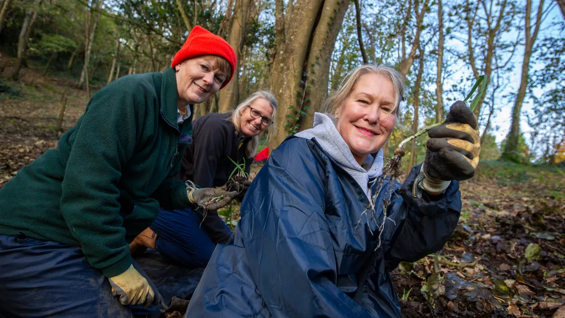 Guernsey Conservation Volunteers, left to right, GCV operations director Angela Salmon, Alison Gavey and Heather Groves remove invasive non-native stinking onions in Bluebell Woods last year. (32854922)