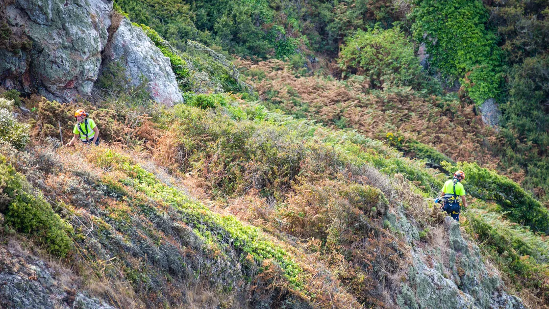  (Picture by Sophie Rabey, 31274919)