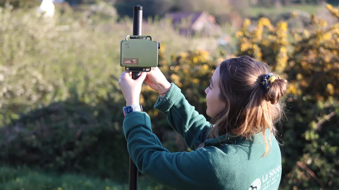 Sarah Allez, project co-ordinator, setting up one of the bat detectors. (29437206)