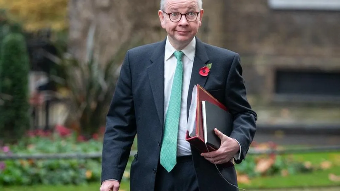 Michael Gove (28932388)