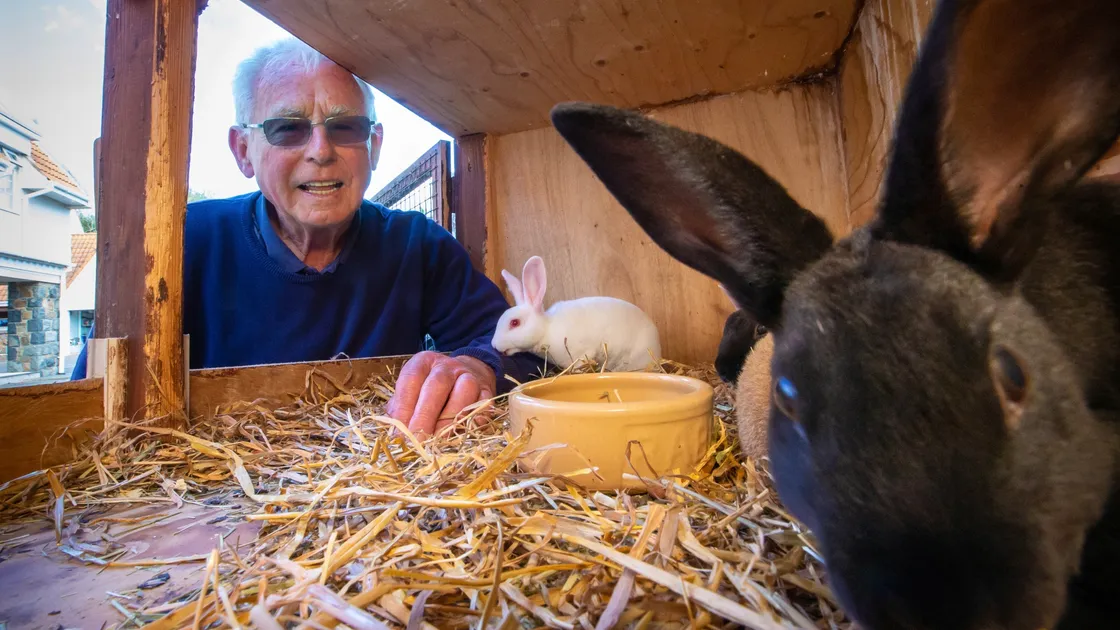 (Picture by Peter Frankland, 29929068)