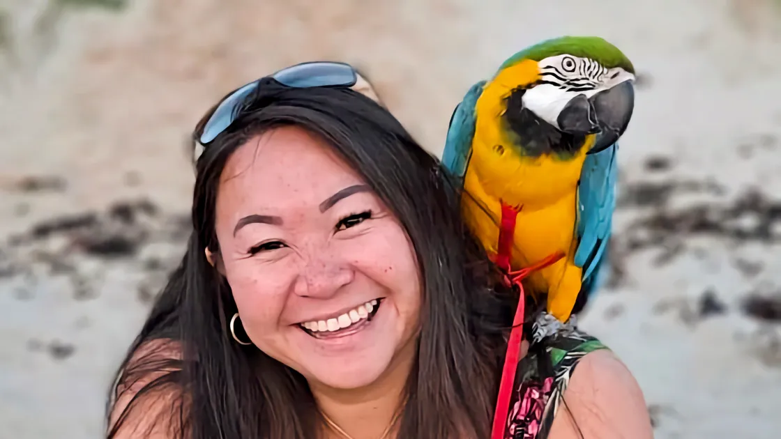 Mika the macaw passed away last week. Her owner Sarah Wong is inviting members of the public to post photos of her on her Facebook page ‘MIKA the Macaw.’ (33523506)