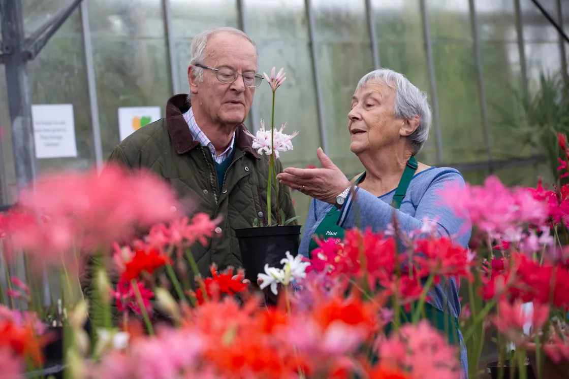 Plant Heritage Guernsey chairman Charles Tracy and Nerine Festival secretary and organiser Rose Rankilor pictured at Guernsey Gardens.