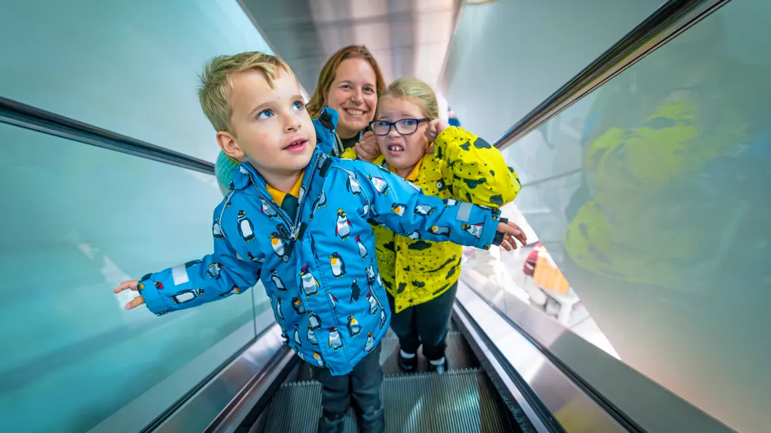 Anthea Roue with Elliott, 4, and Evie, 7, at Creasey’s Smith Street store’s special event for children from Autism & Me who were able to ride the escalators