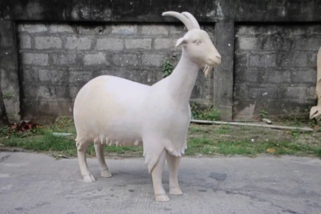 Pictures supplied by Mandy Morris from Autism Guernsey. Unpainted fibreglass shells of goat parade goats, currently being made in the Philippines. (27205037)