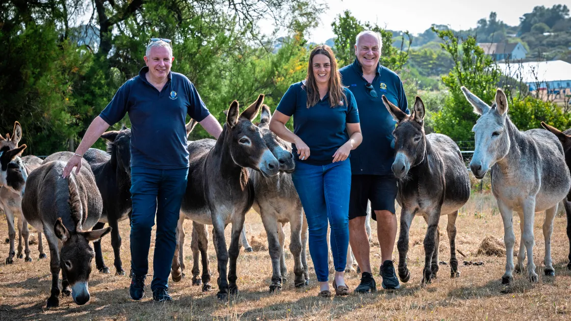 The donkeys have arrived ahead of this year’s Donkey Derby. The animals are from Dashing Donkeys in the UK. Left to right, Lions Club president John McLoughlin, Alex Fisher from Dashing Donkeys, and Lions Club past president Rob Holder. (Picture by Peter Frankland, 34364453)