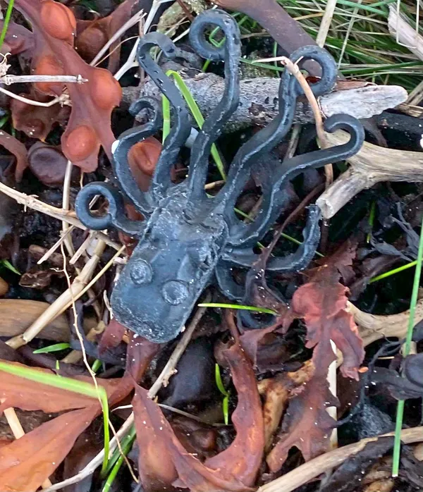 The rare octopus piece in situ.