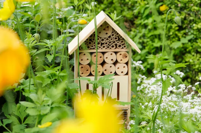Bee hotel