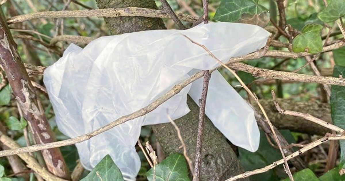 Rubber gloves found strewn across island