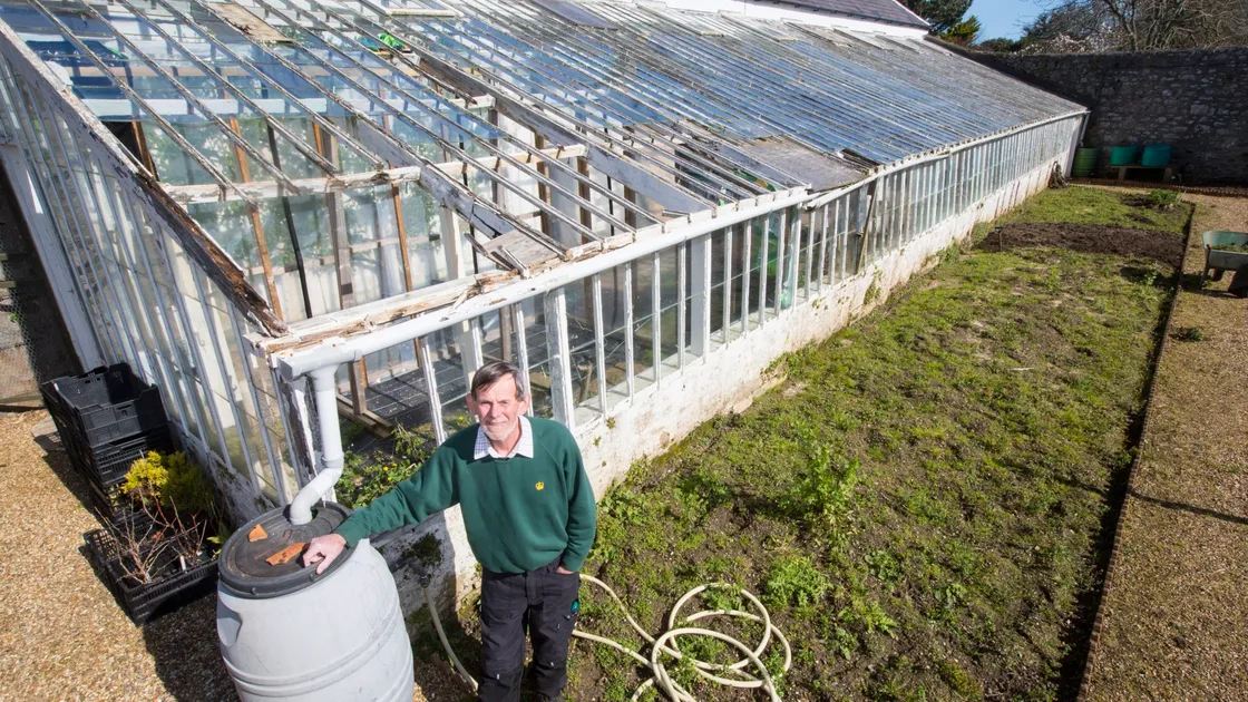 Gardener Gary Le Poidevin next to the lean-to greenhouse Government House wishes to replace. (27510573)