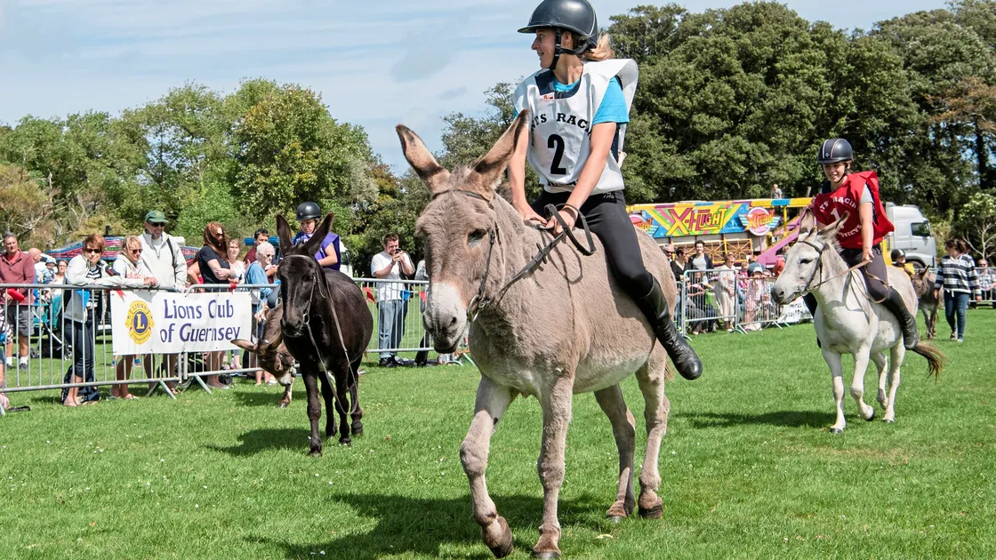 The Lions Club of Guernsey Donkey Derby will be held at Saumarez Park on Saturday (Picture supplied by Andrew Le Poidevin).