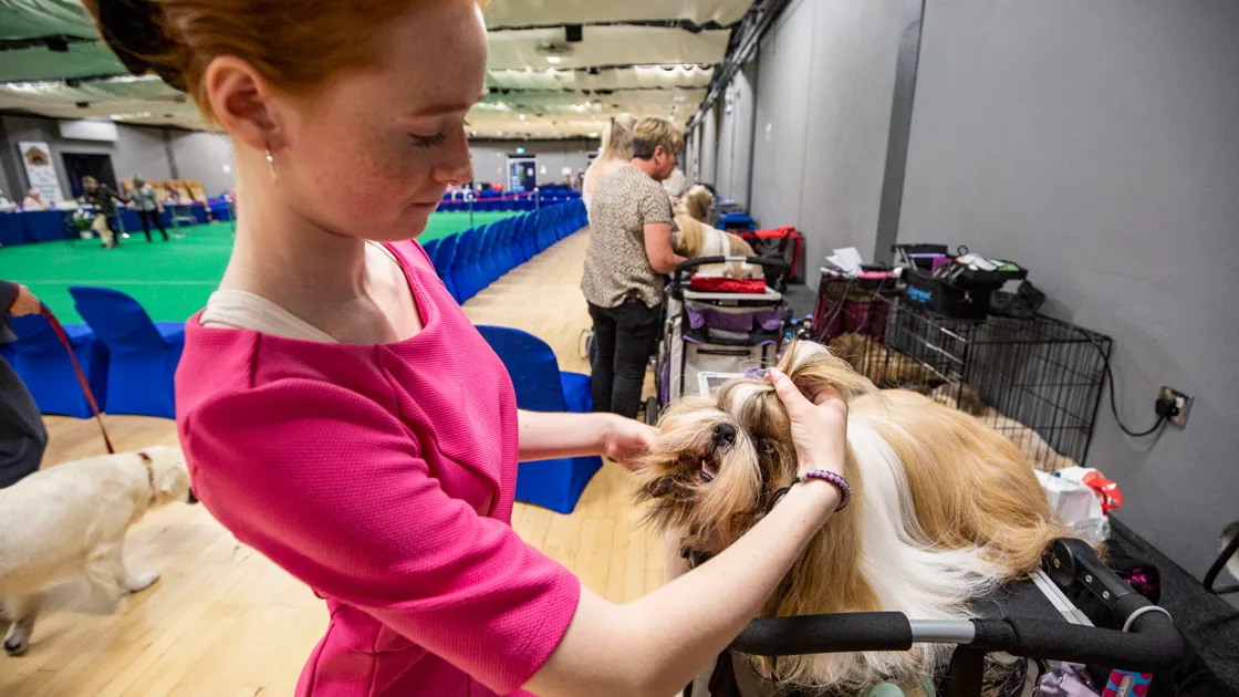 Porscha Rault, 16, with her Shih-tzu, Mickey. (31228759)