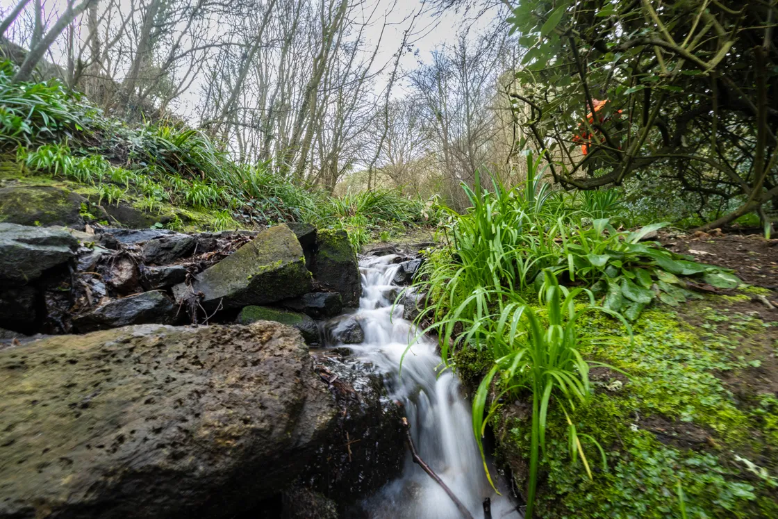Blue Diamond has a longstanding partnership with the National Trust in the UK, where the group has committed £1m. in funding over three years