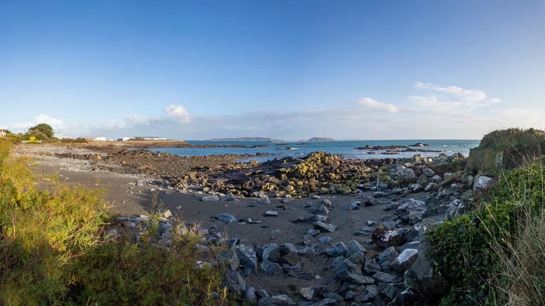 The rare scaly crickets which live in the area being considered as an inert waste site could be moved to one of 11 other habitats, an environmental impact assessment has found, but the shingle bay running north from Spur Point would be lost. (Picture by Peter Frankland, 26478131)