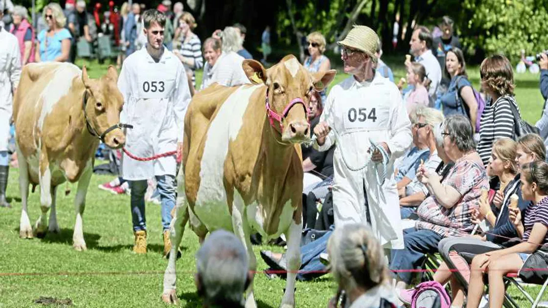 High standard among 'Royal' show animals