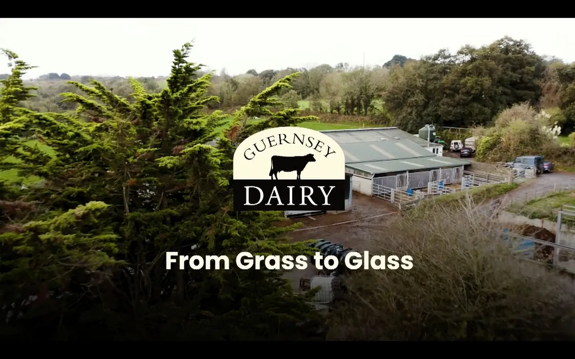 Screenshots from Guernsey Dairy's new campaign video. 