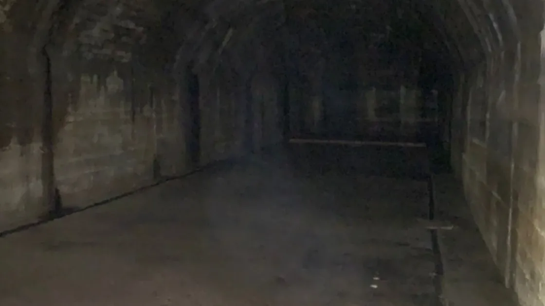 Mrs Harris tried to capture the form of a face in one of the tunnels at the southern end of the site. (31476094)