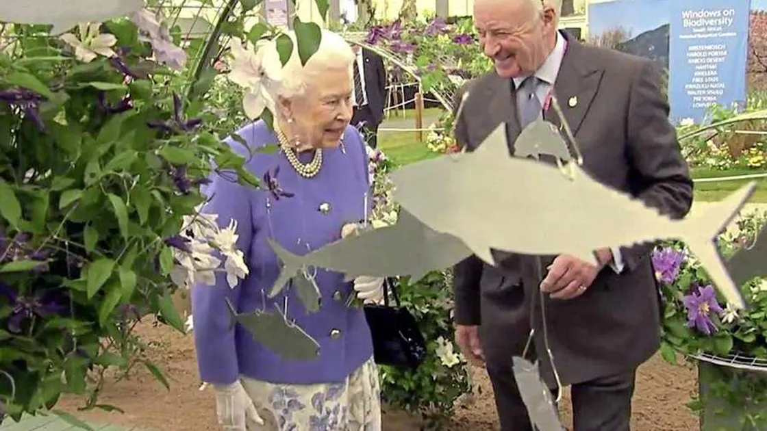 Another Chelsea gold for clematis grower