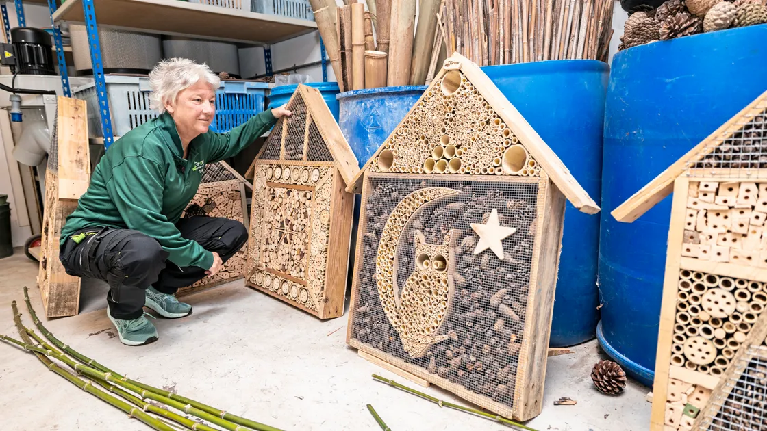 Mandy took over as general manager just over a year ago