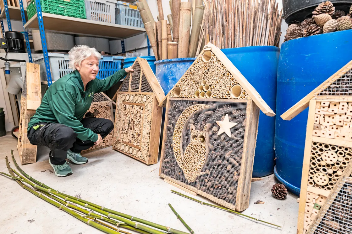 Mandy took over as general manager just over a year ago