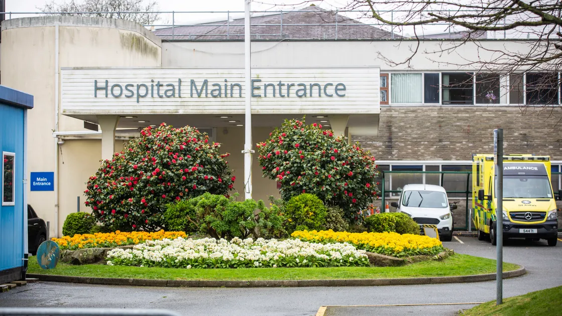 (Picture by Sophie Rabey, 28535526)