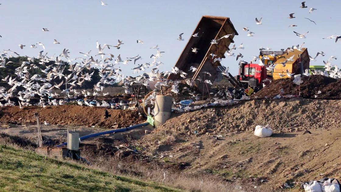 The States should decide next month how much households will be charged for the new waste collection system.