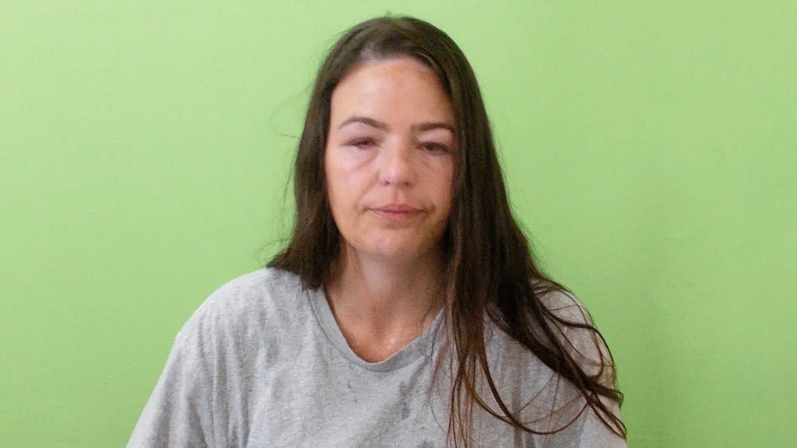 Louise Hutchinson, 45, admitted committing the offence at Les Eturs Veterinary Clinic with another when she appeared in the Magistrate’s Court from custody