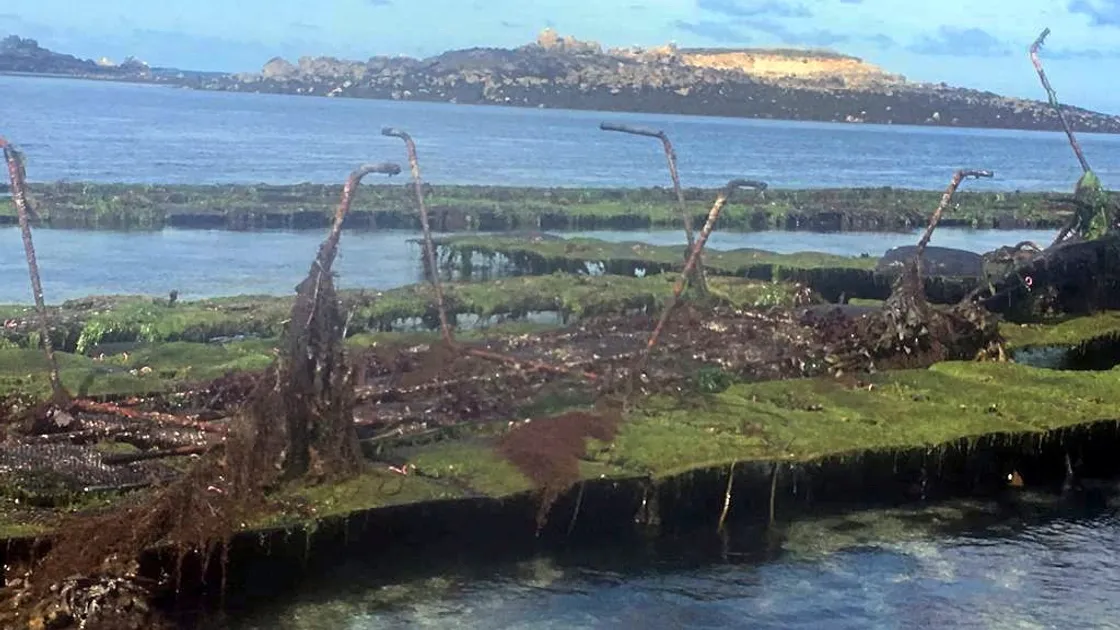 Picture By Herm Oysters. 29-08-19 Some damage has been caused to the oyster beds in Herm and the company which ownes them is appealing for infomation.. (25636055)